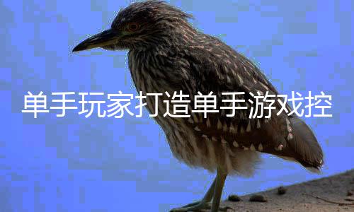 标摇热议融合能全单手打造单手盘鼠游戏玩家 键杆功控制器引