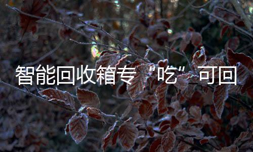 垃圾回收回收智能箱专吃可