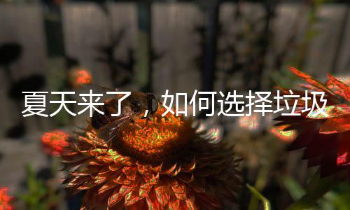 ，如来了何选择垃夏天圾桶